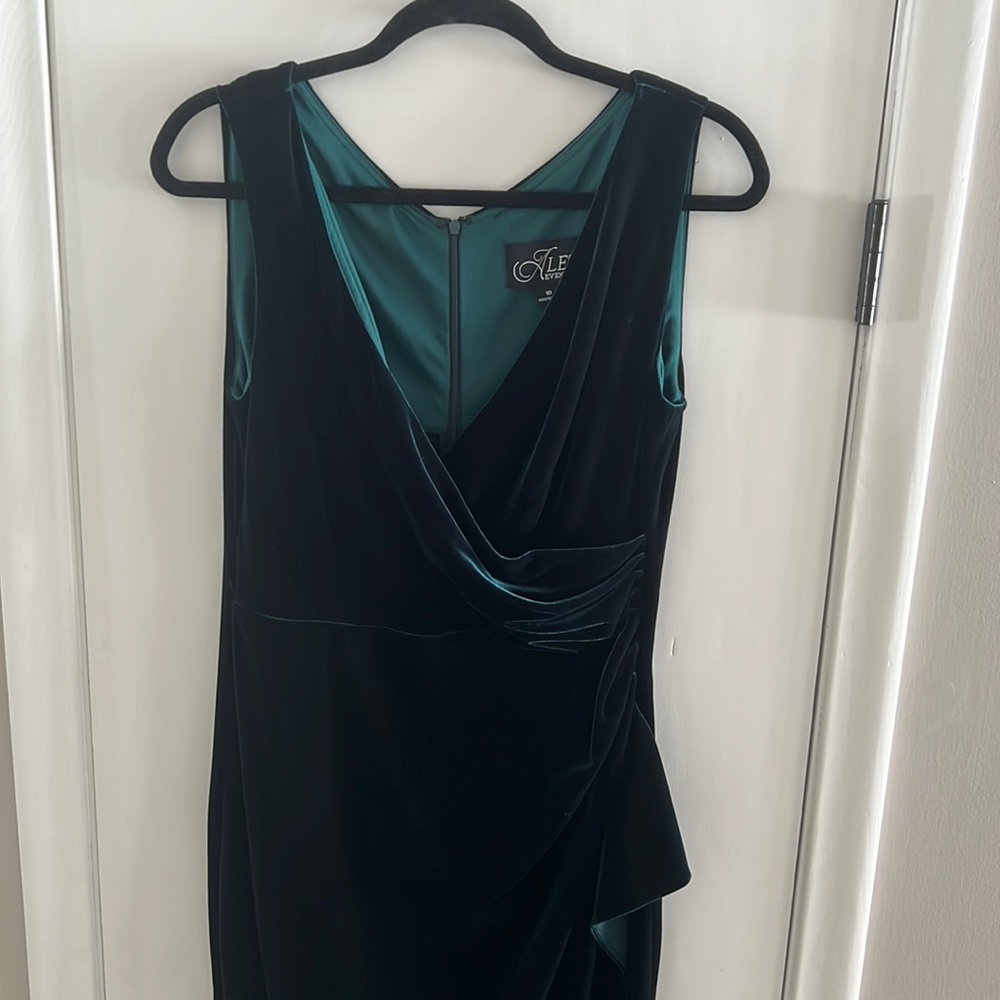 Alex Evenings Dress